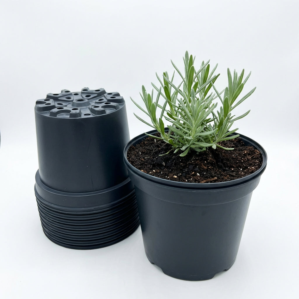 Kweekpot zwart – Ø21cm, hoogte 16cm, 4 liter - Kweekbenodigdheden