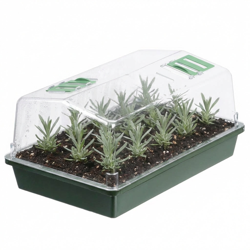 Kweekkas met ventilatie groen H21x55x31cm - Kweekbenodigdheden
