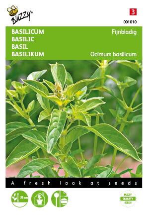Basilicum Fijne - Zaden