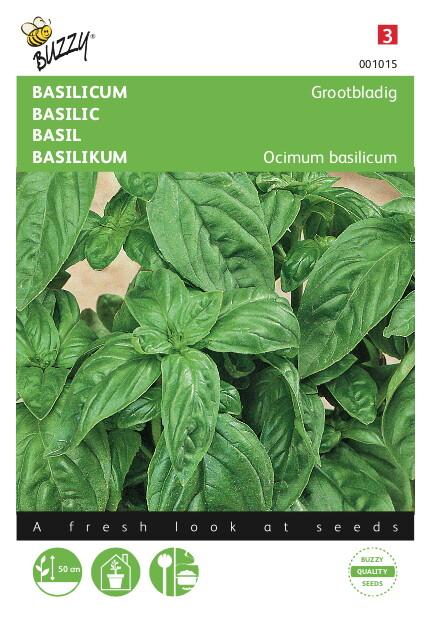 Basilicum Grootbladig - Zaden