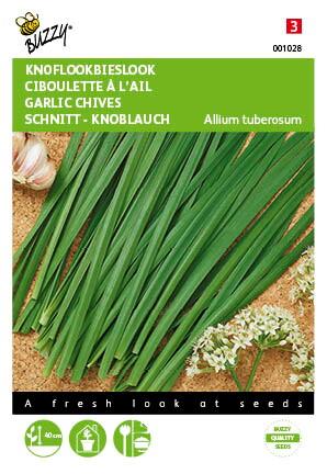 Chinese Knoflook - Bieslook - Zaden