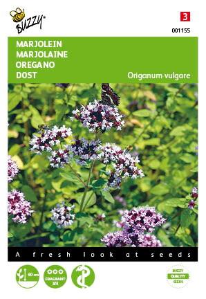 Marjolein - Oregano - Zaden