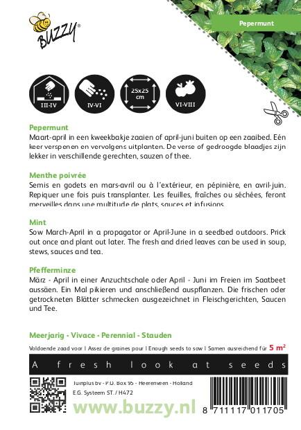 Pepermunt - Zaden