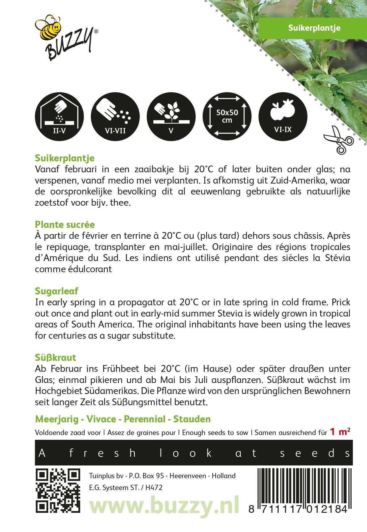 Stevia, Suikerplantje of Honingkruid - Zaden