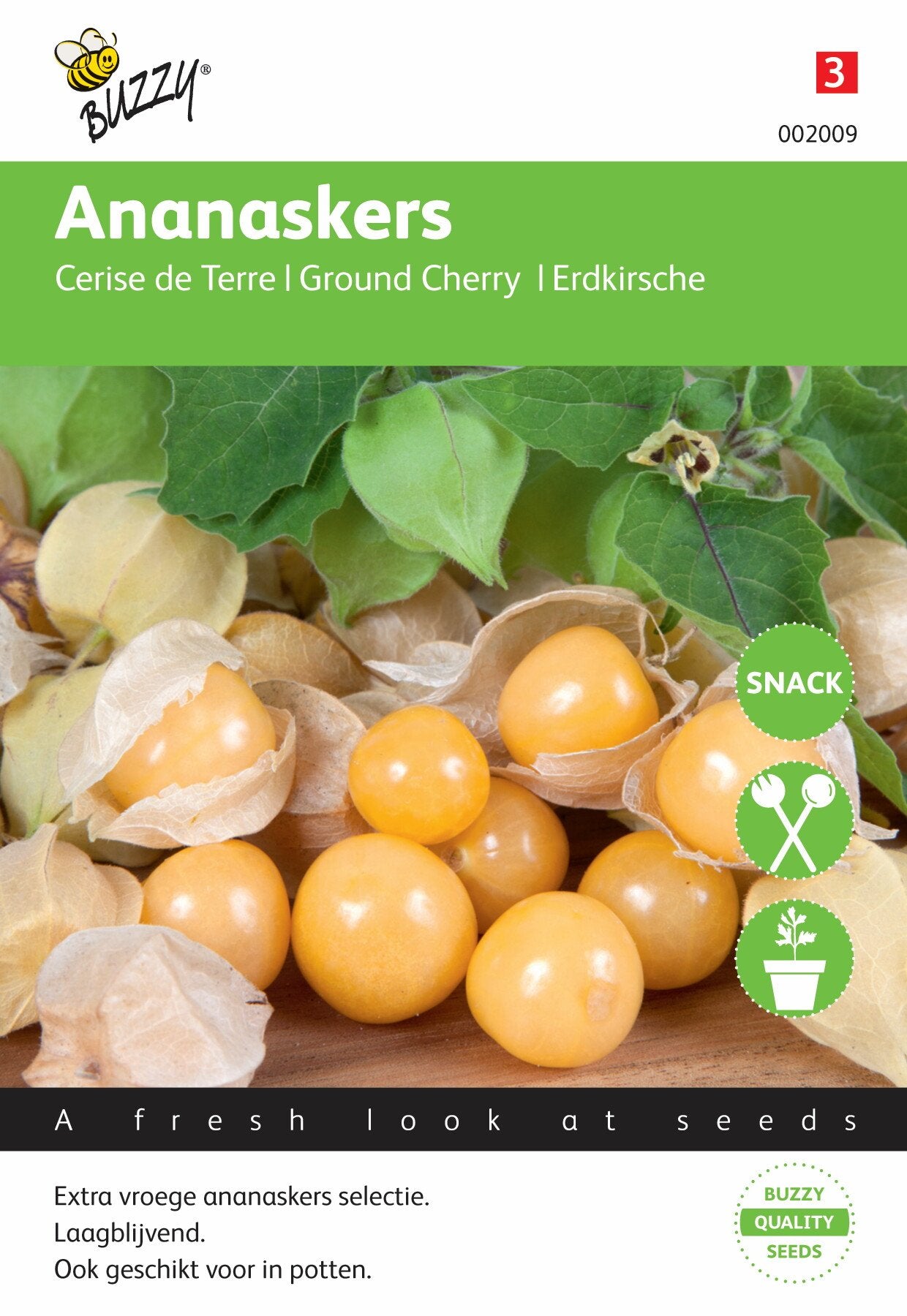 Ananaskers Physalis pruinosa - Zaden