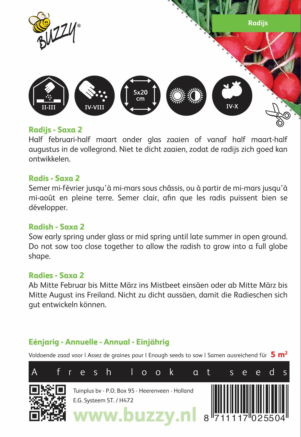 Radijs Saxa 2 - Zaden