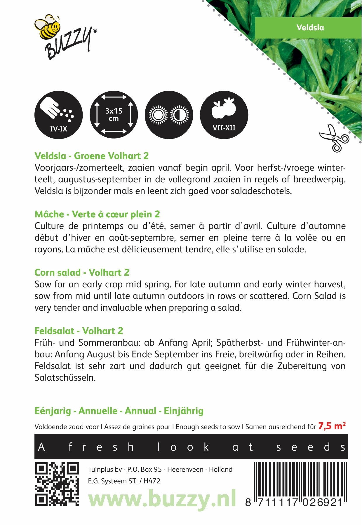 Veldsla Groene Volhart 2 - Zaden