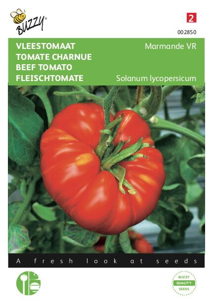Vleestomaat Marmande VR - Zaden