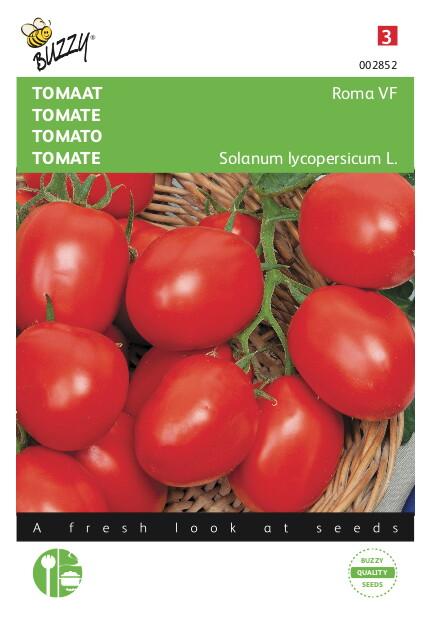 Tomaat Roma VF - Zaden