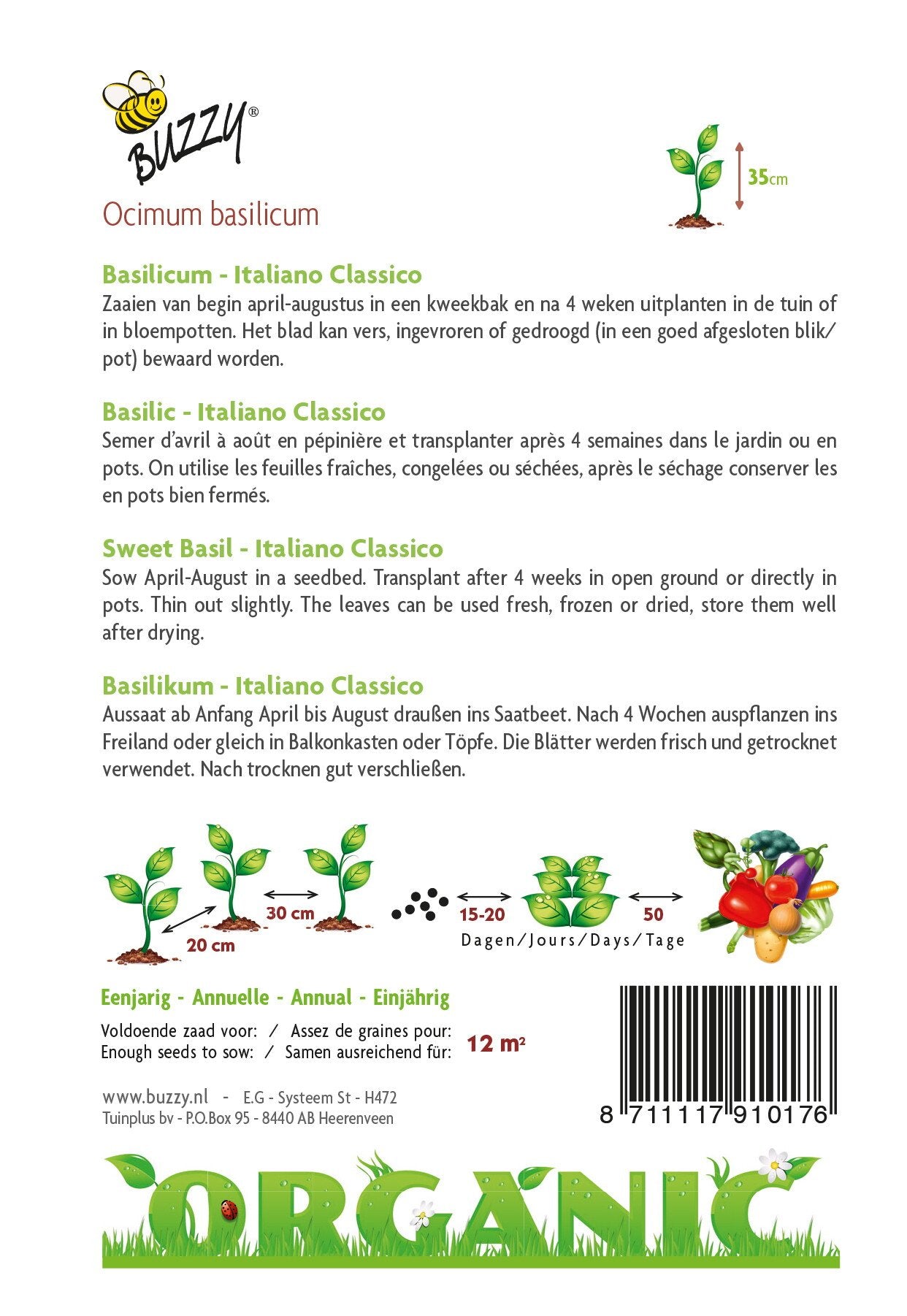 Basilicum - Italiano Classico (BIO) - Zaden