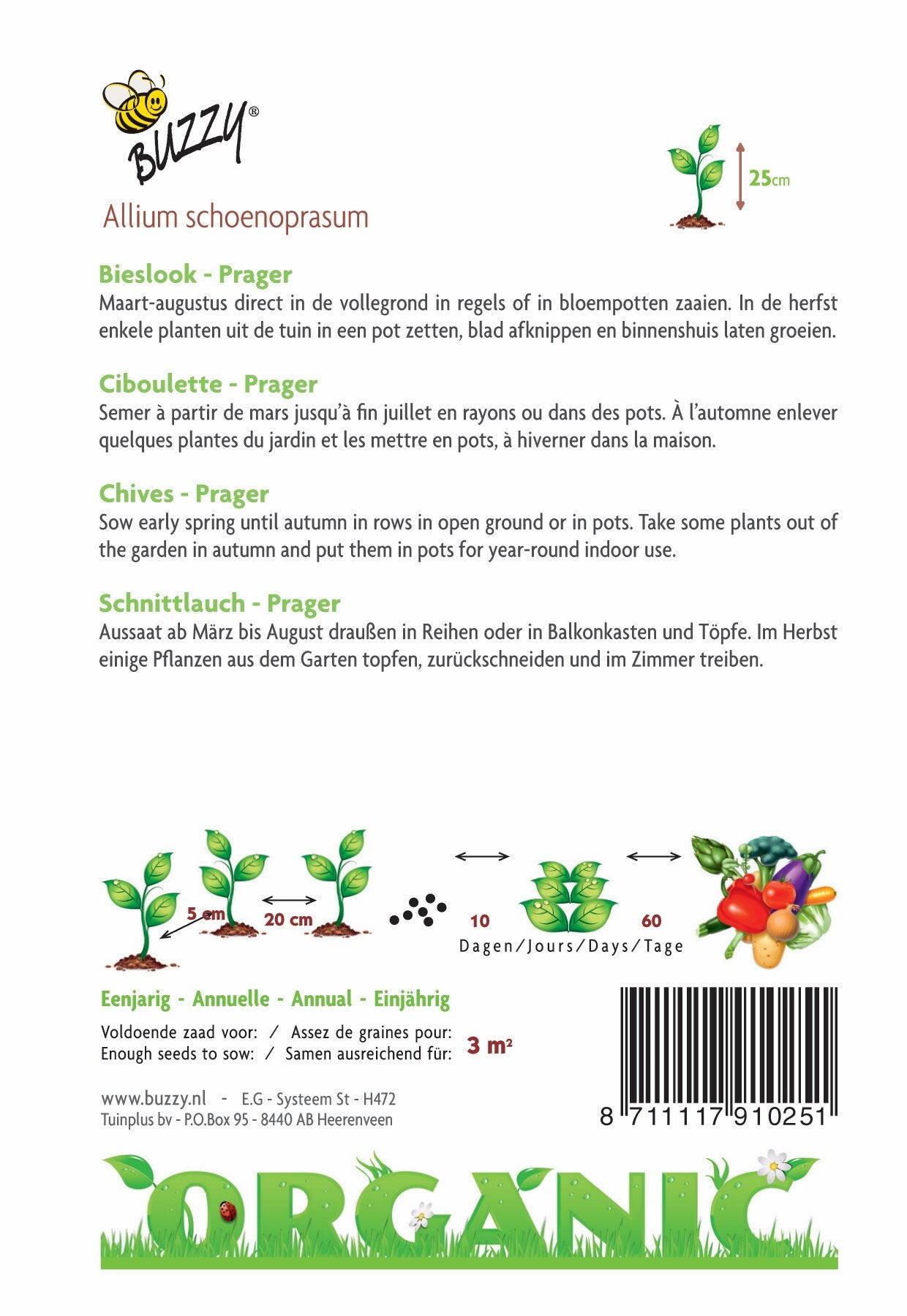 Bieslook Prager (BIO) - Zaden
