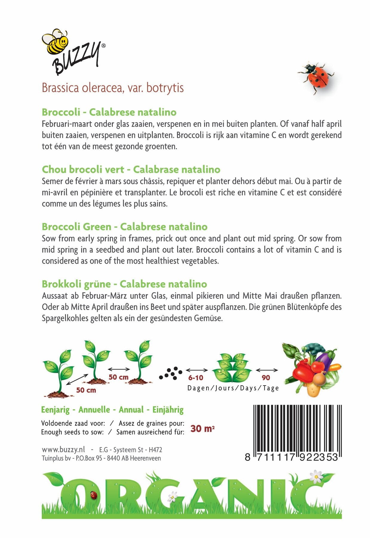 Broccoli Calabrese natalino (BIO) - Zaden