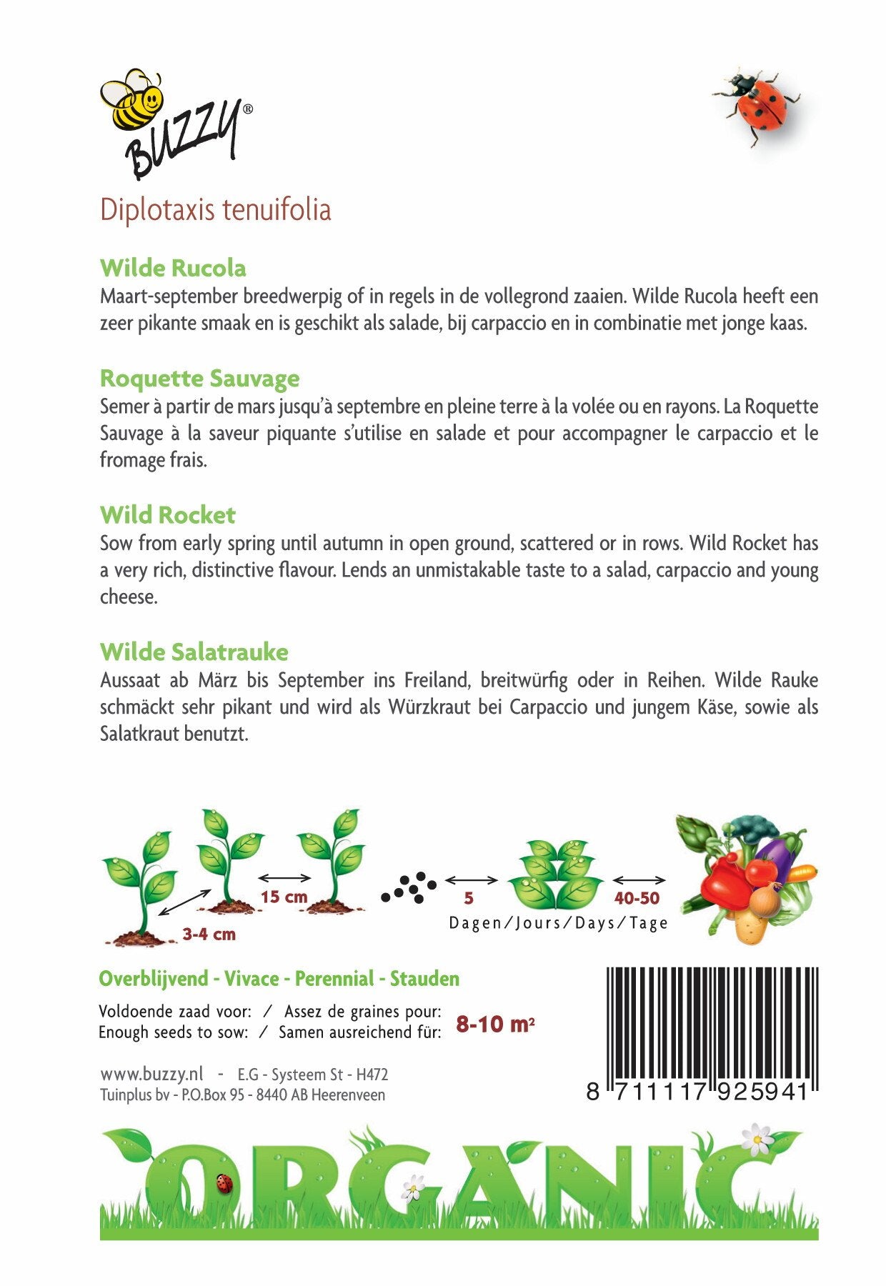 Wilde Rucola (BIO) - Zaden