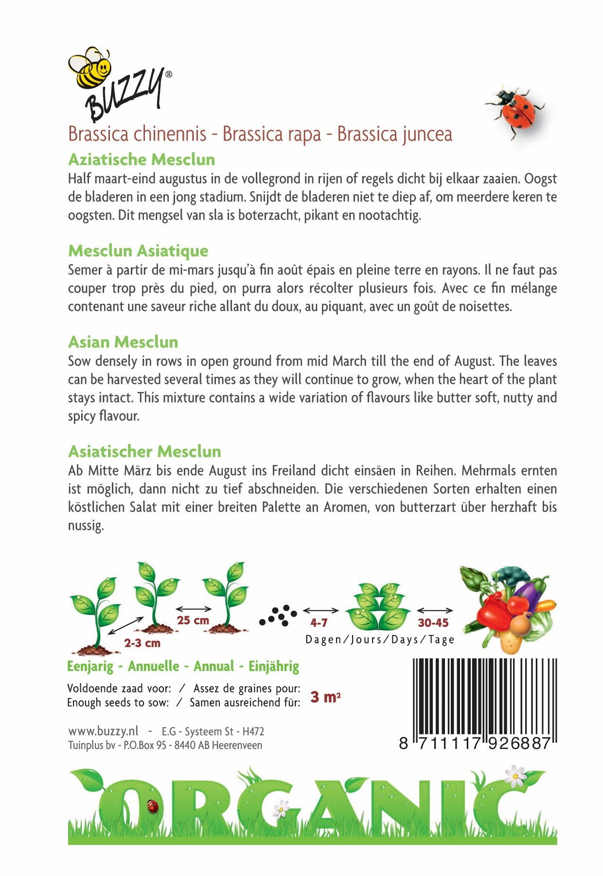 Aziatische Mesclun (BIO) - Zaden