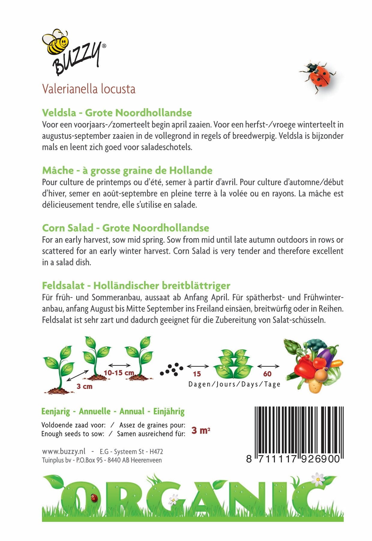 Veldsla Grote Noordhollandse (BIO) - Zaden
