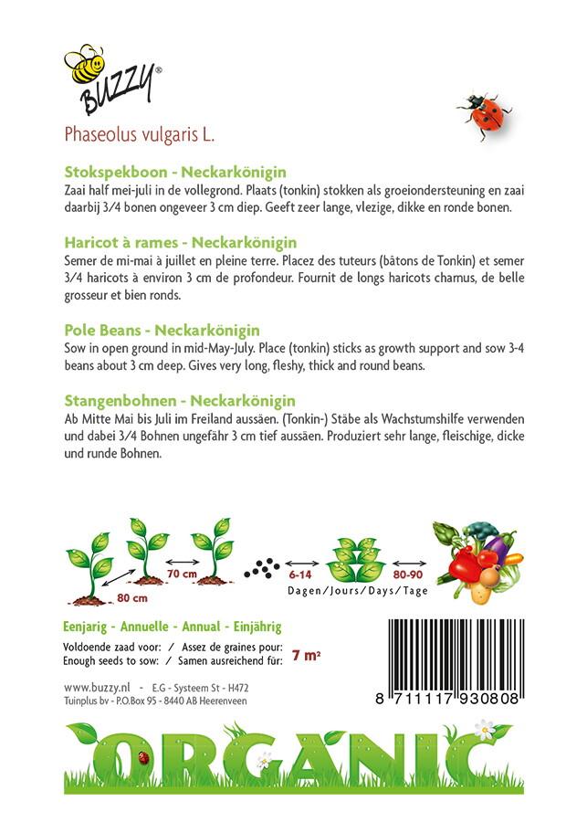 Stokspekboon Neckarkönigin (BIO) - Zaden