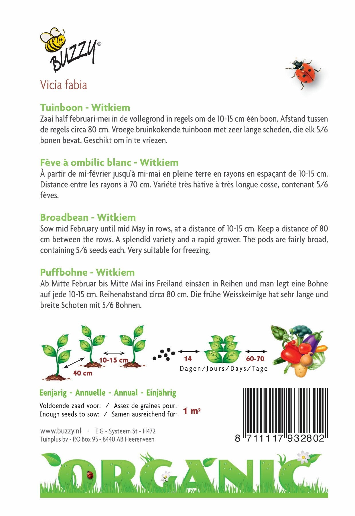 Tuinbonen Witkiem (BIO) - Zaden