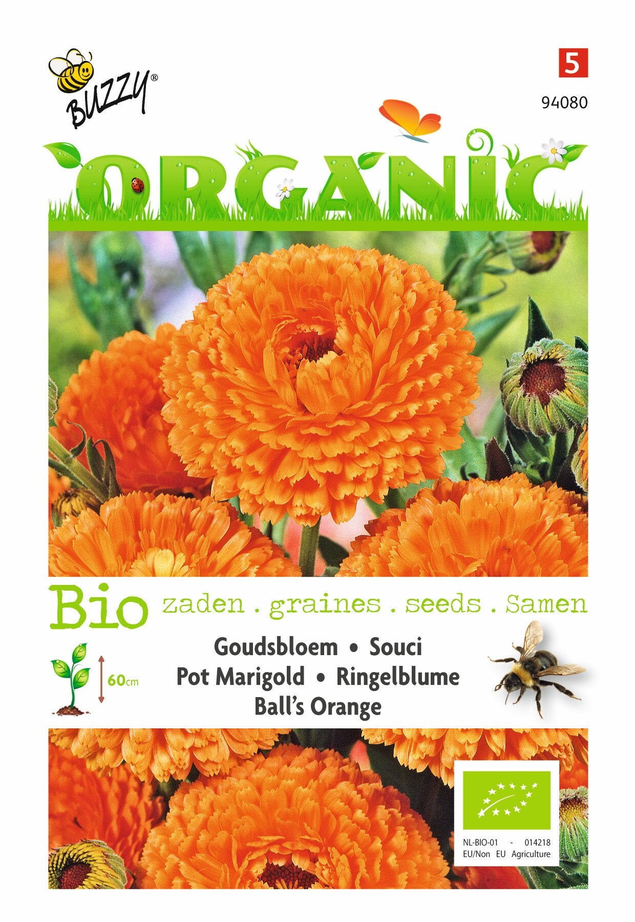 Calendula, Goudsbloem Ball's Orange (BIO) - Zaden