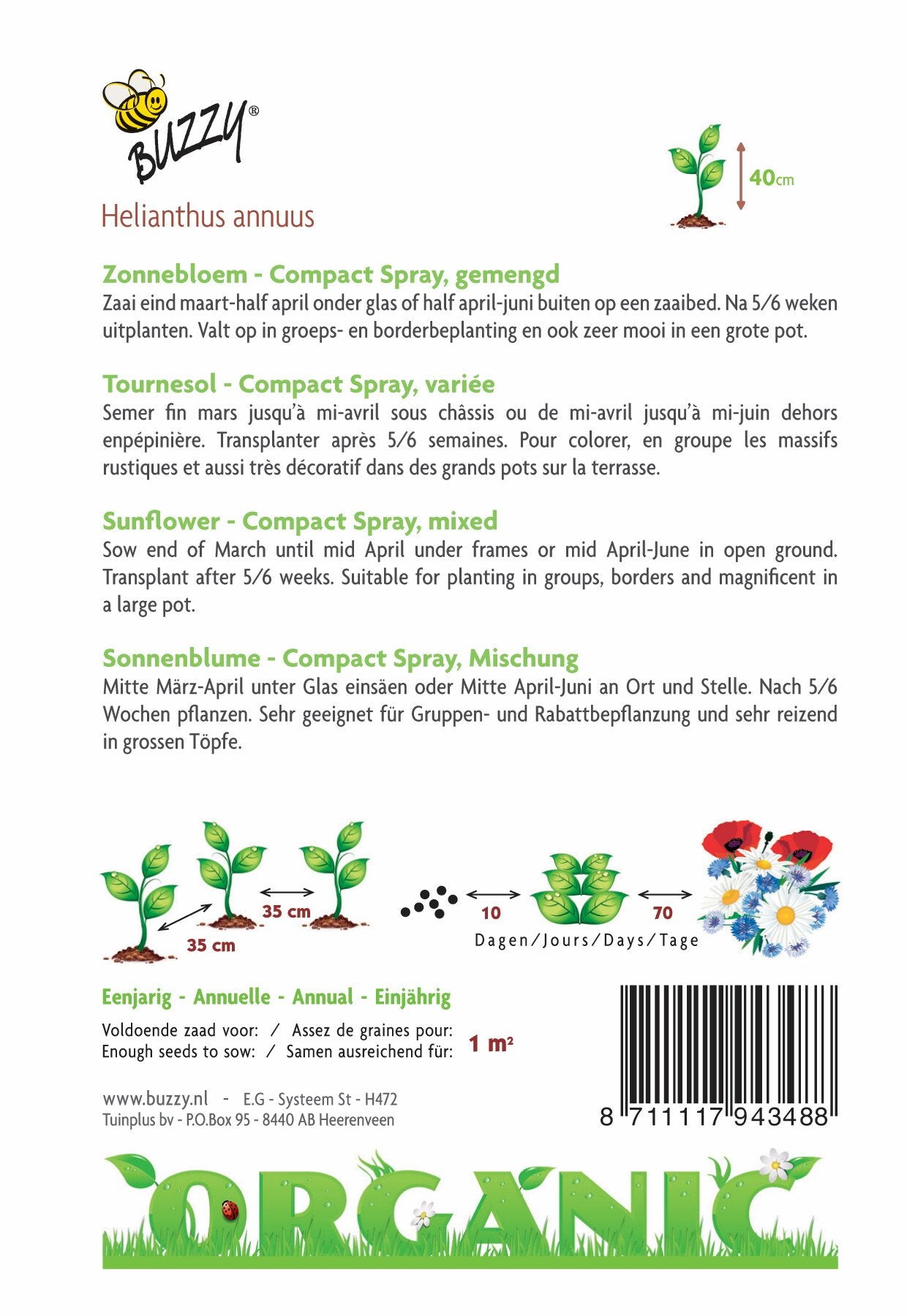 Helianthus, Zonnebloem Compact Spray(BIO) - Zaden
