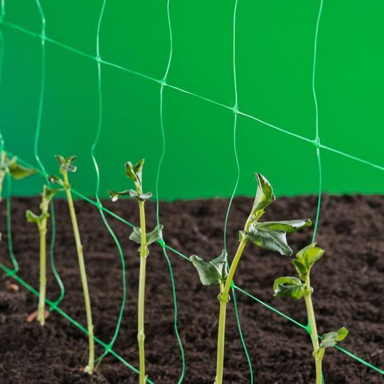 Klim- groei- en geleidenet groen - Kweekbenodigdheden
