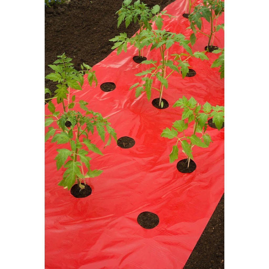 Kweekfolie voor tomaten rood - Kweekbenodigdheden