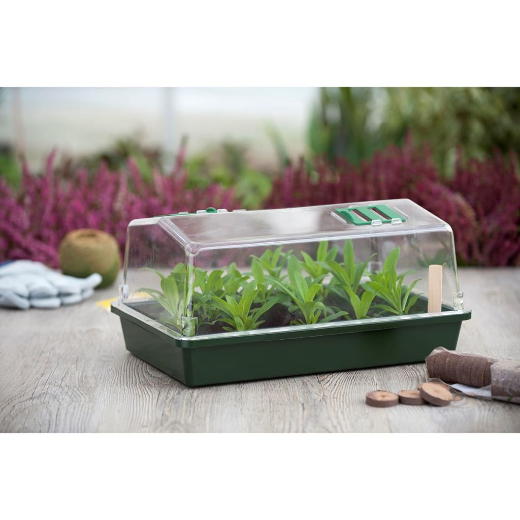 Kweekkas met ventilatie groen H18x37,5x24cm - Kweekbenodigdheden