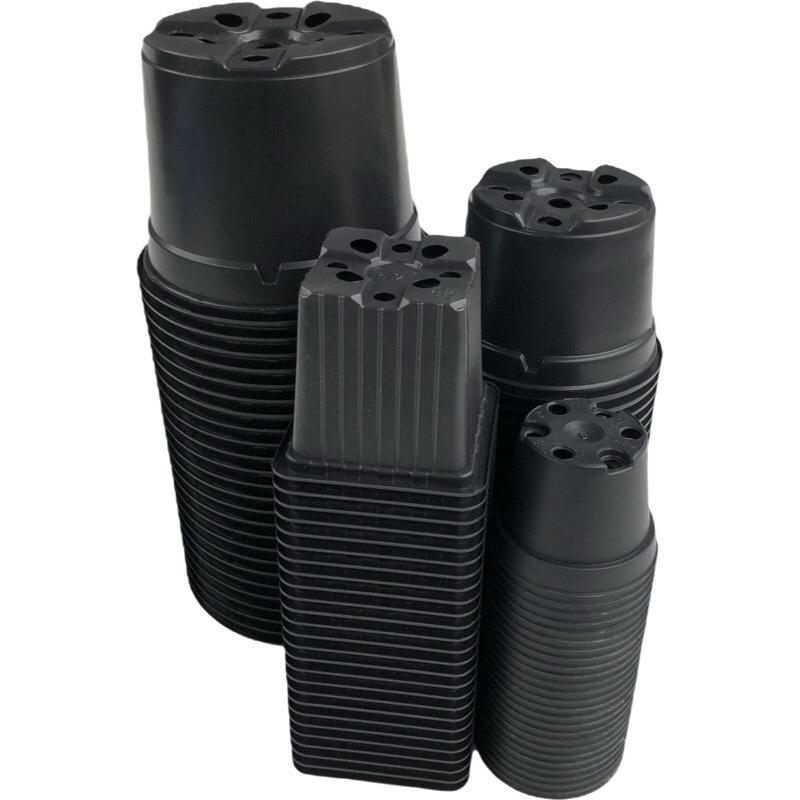 Kweekpakket middel 2 -