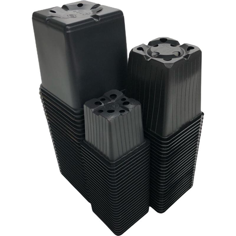kweekpakket klein 4 -