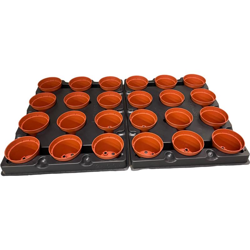 Kweektray met 24 potjes - 6cm rood - Kweekbenodigdheden