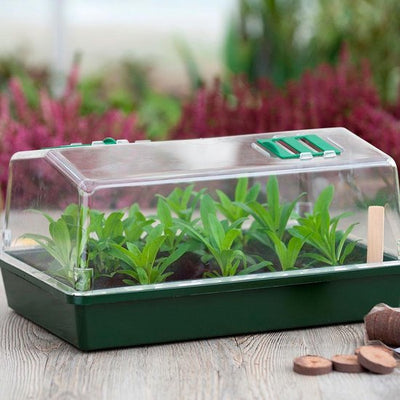 Kweekkas met ventilatie groen H18x37,5x24cm