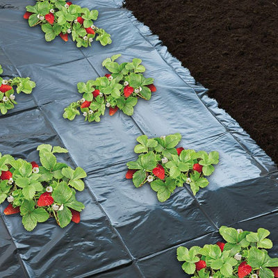 Kweekfolie voor aardbeien rood