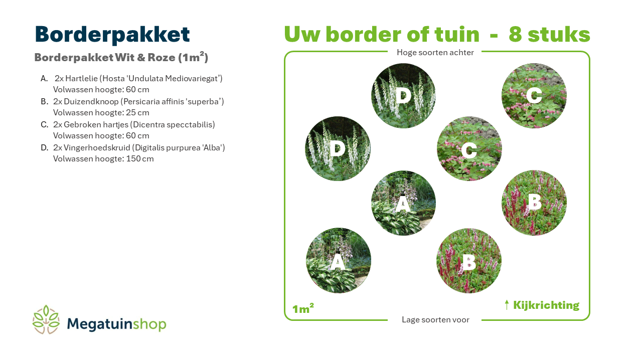 Borderpakket Wit & Roze (1m2) - Tuinplanten