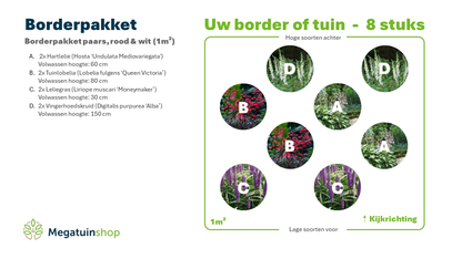 Borderpakket paars, rood & wit (1m2) - Tuinplanten