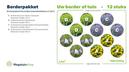 Borderpakket kleurrijke bodembedekkers (1,5m2) - Tuinplanten