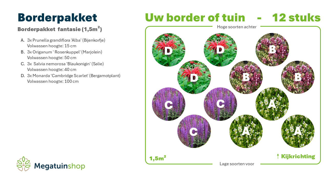 Borderpakket  fantasie (1,5m2) - Tuinplanten