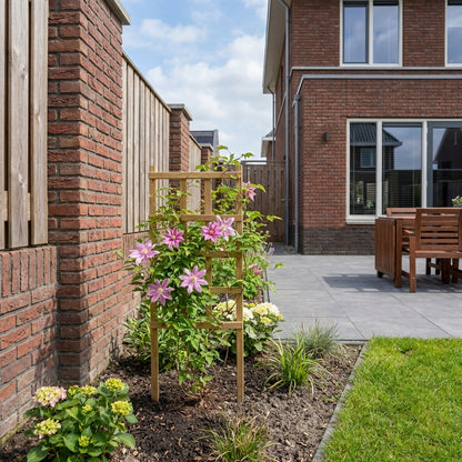 Klimplant Clematis macr. Markham s Pink (Bosrank) - Klimplanten