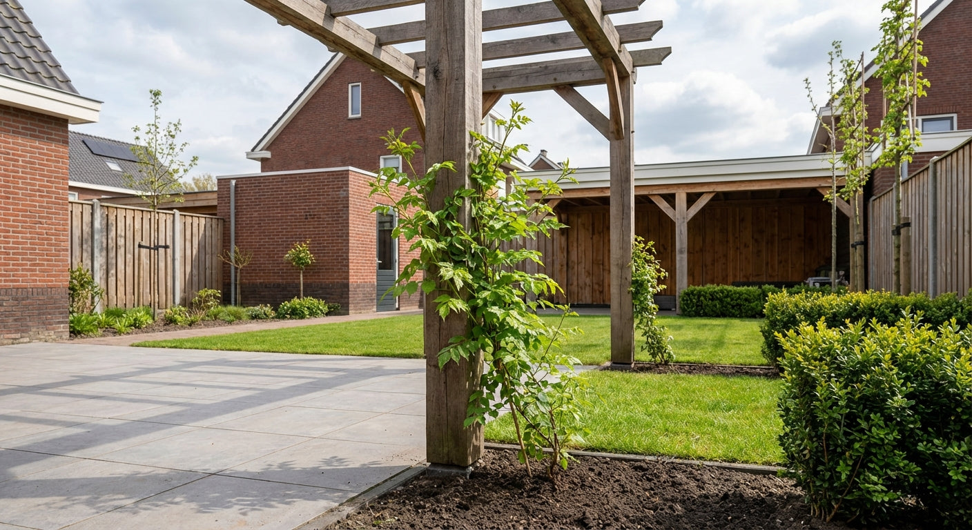 Klimplant Campsis t. Madame Galen (trompetbloem) - Klimplanten