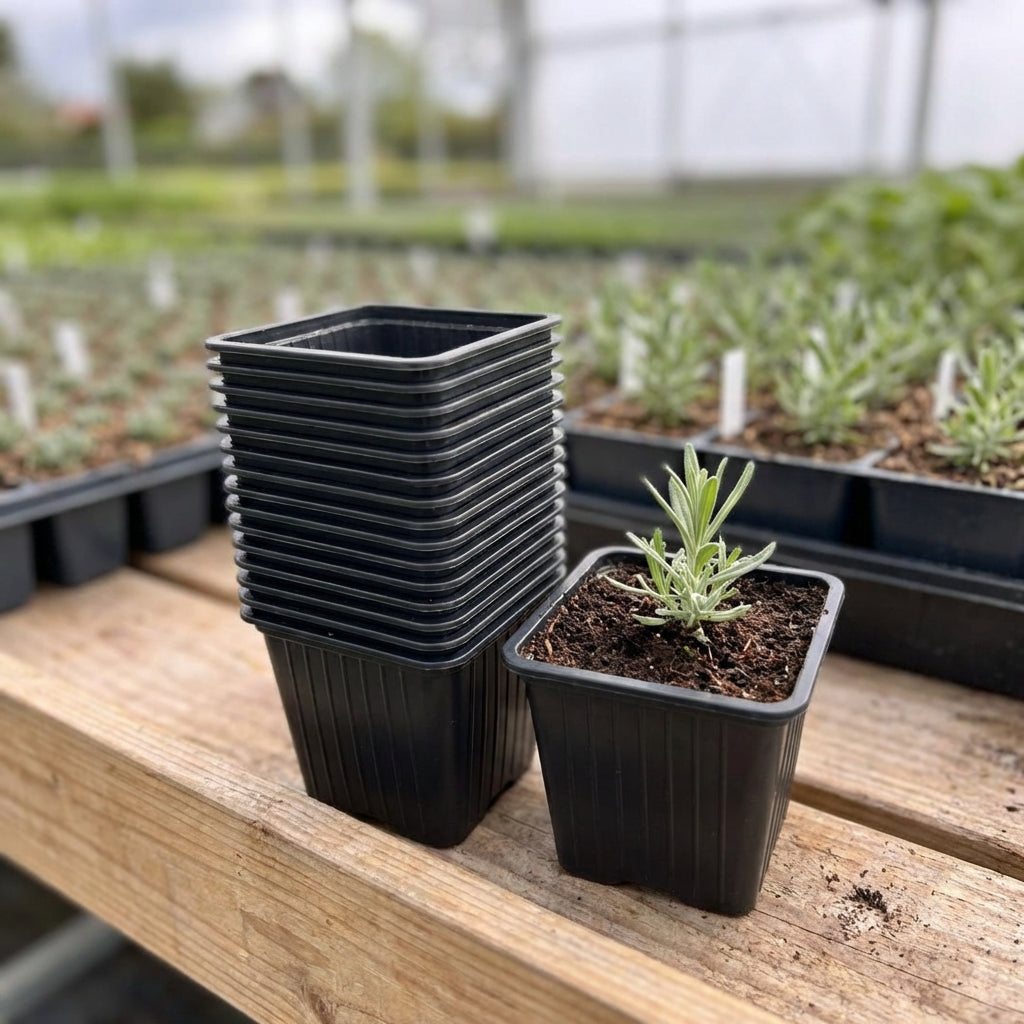 Kweekpot zwart - 7x7x6cm - Kweekbenodigdheden