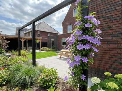 Klimplant Clematis So Many® Lavender Flowers PBR (Bosrank) - Klimplanten