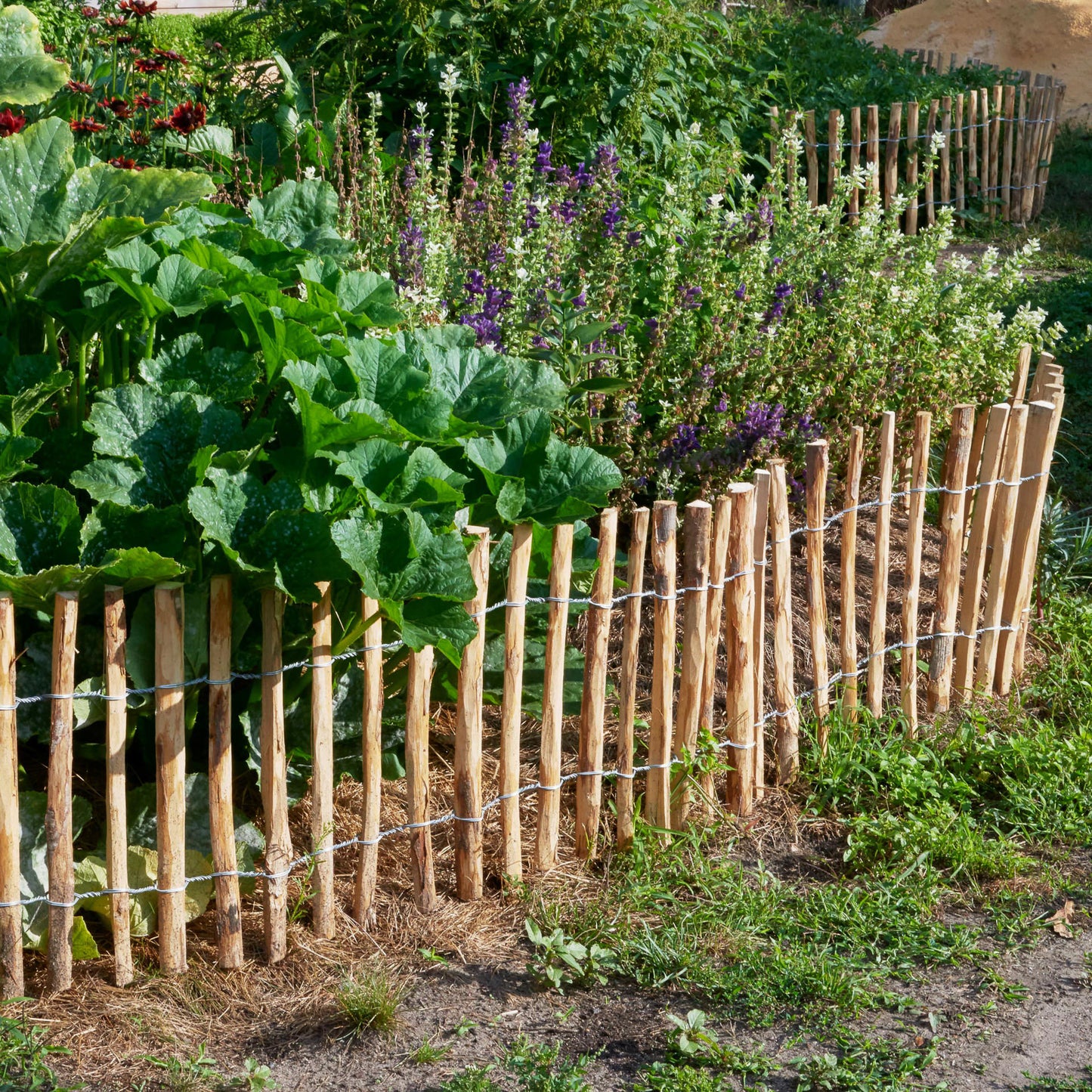 Engels schapenhek 120cm hoog - 5 meter lang - Tuinplanten