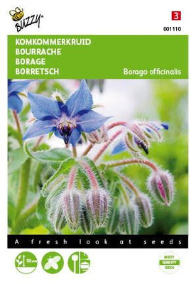 Komkommerkruid (Borage)