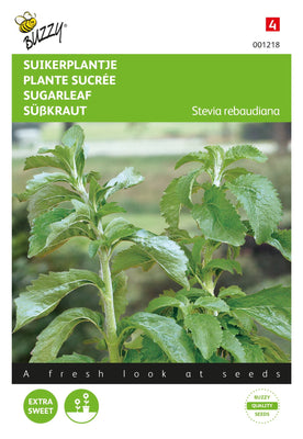 Stevia, Suikerplantje of Honingkruid