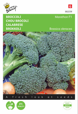 Broccoli Marathon F1