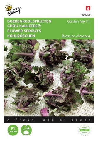 Boerenkoolspruitjes, Kalettes® Garden Mix F1 - Zaden