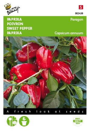 Paprika Snack Patio - rood - Paragon - Zaden