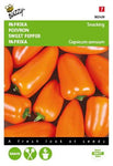 Paprika Snacking mini Oranje Naranja - Zaden