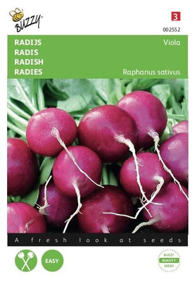 Radijs Viola
