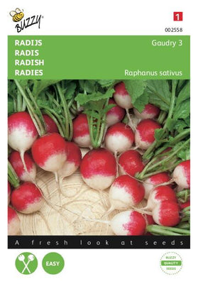 Radijs Gaudry 3