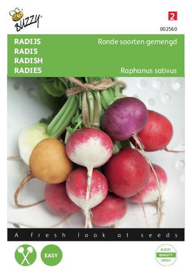 Radijs Ronde soorten gemengd