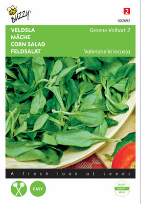 Veldsla Groene Volhart 2